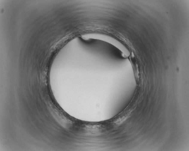 X0000086070450200704202130