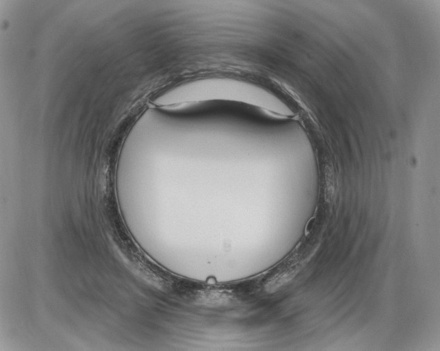 X0000086070451200704202130