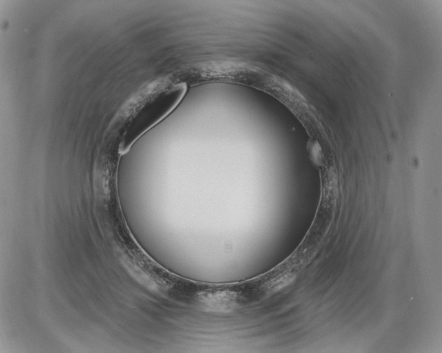 X0000086070452200704202130