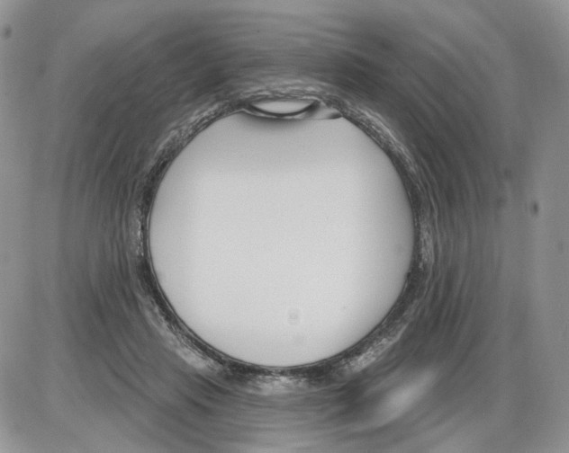 X0000086070453200704202130