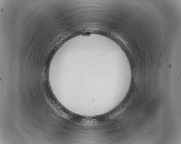 X0000086070455200704202130