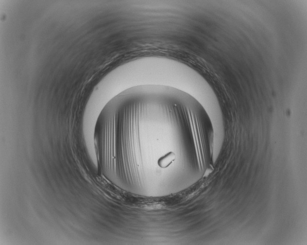 X0000086070456200704202130