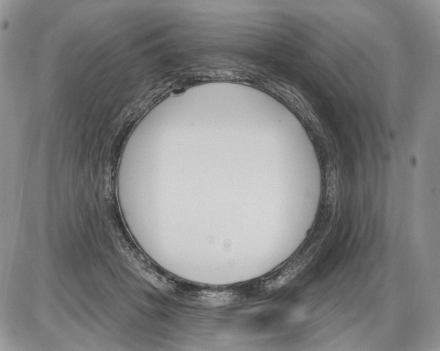 X0000086070457200704202130