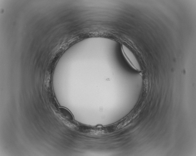 X0000086070458200704202130