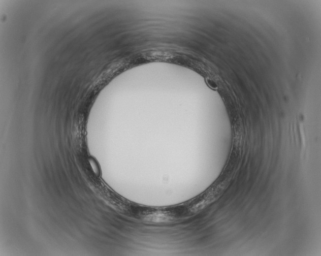 X0000086070460200704202130