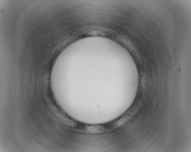 X0000086070461200704202130