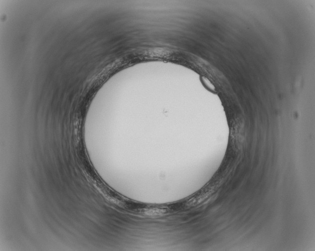 X0000086070462200704202130