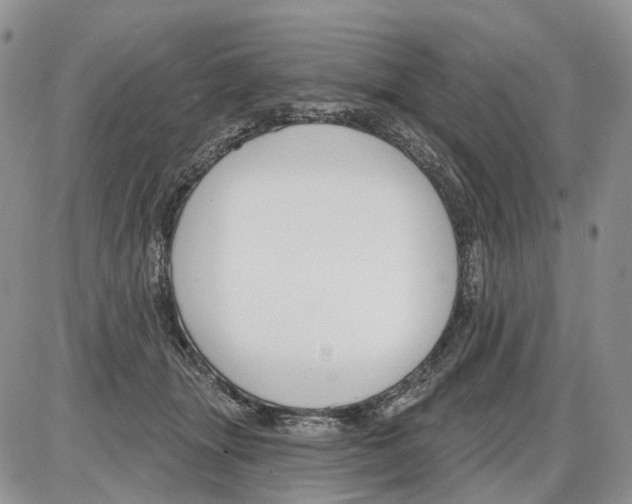 X0000086070463200704202130