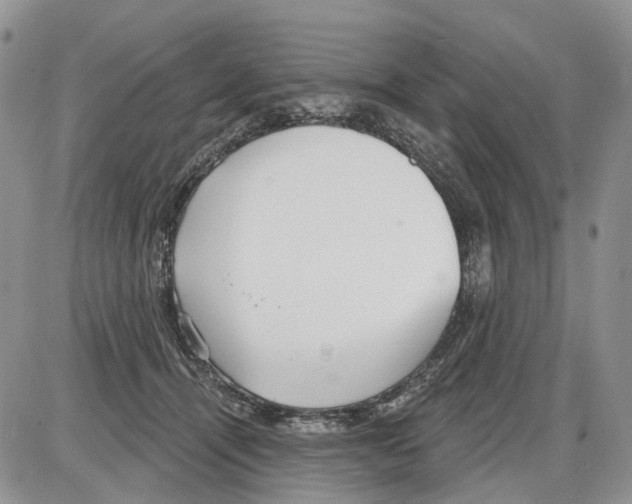 X0000086070464200704202130