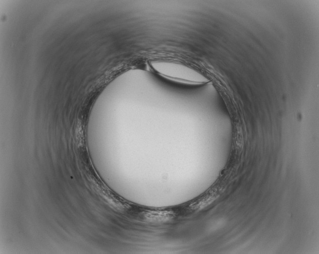 X0000086070465200704202130