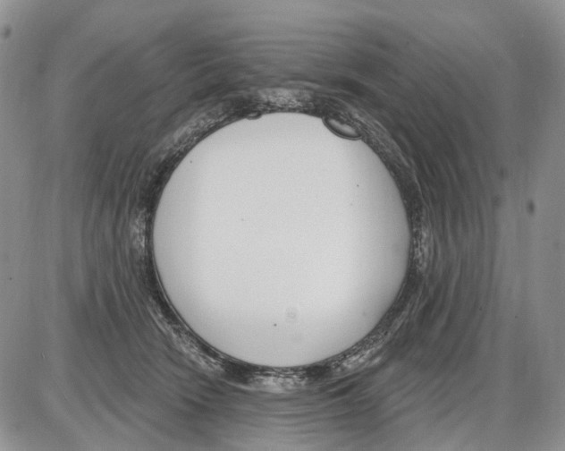 X0000086070466200704202130