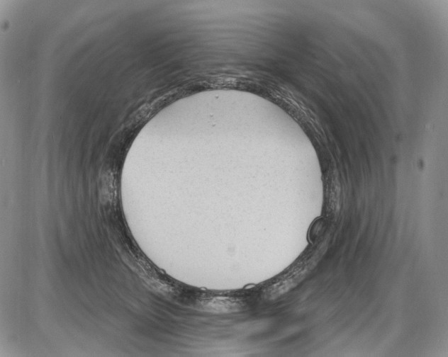 X0000086070467200704202131