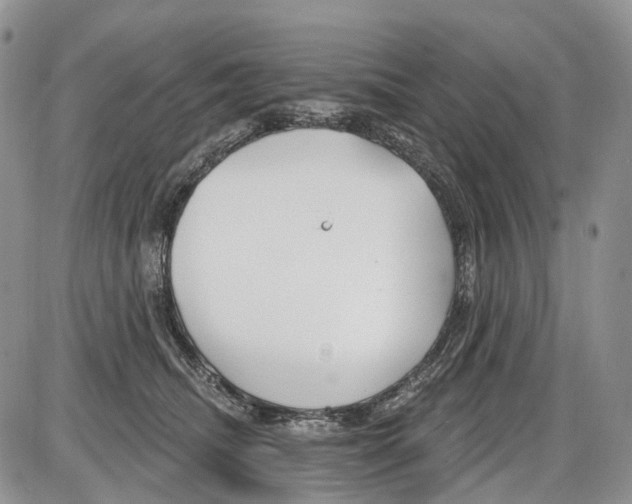 X0000086070468200704202131