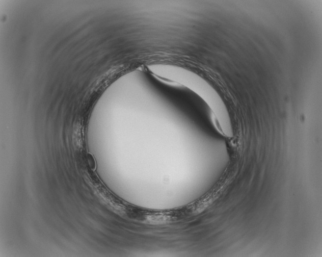 X0000086070470200704202131