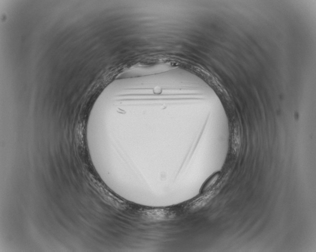 X0000086070473200704202131