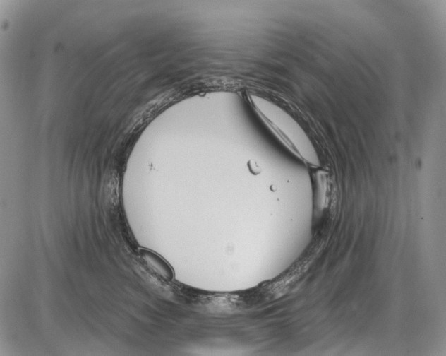 X0000086070474200704202131