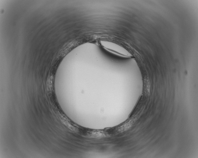 X0000086070475200704202131