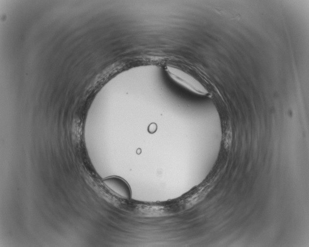 X0000086070476200704202131