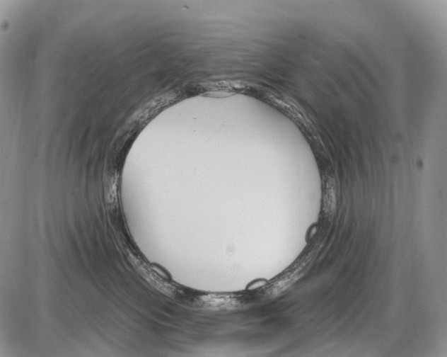 X0000086070477200704202131