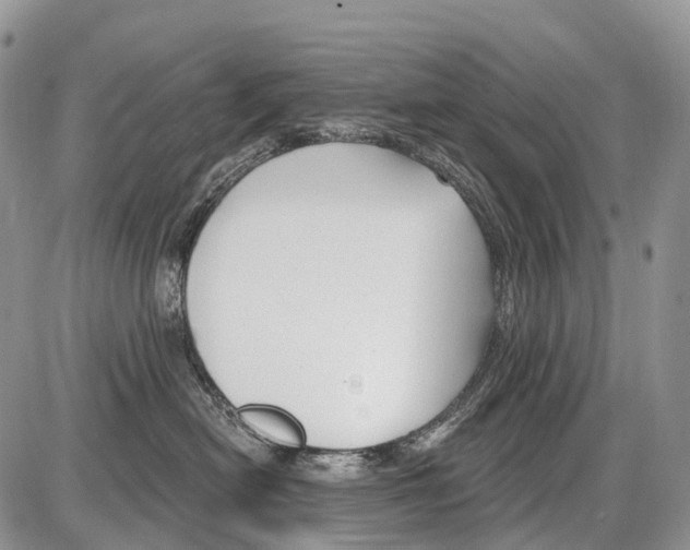 X0000086070478200704202131