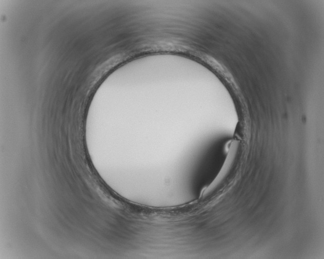 X0000086070481200704202130