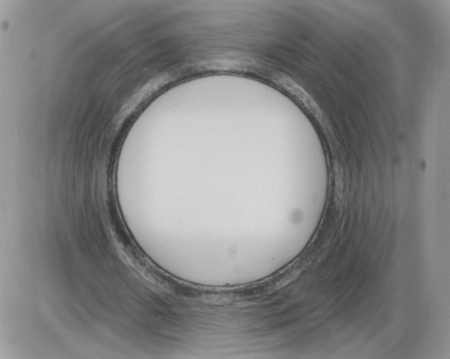 X0000086070482200704202130