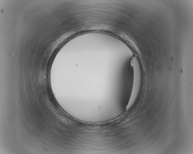 X0000086070483200704202130