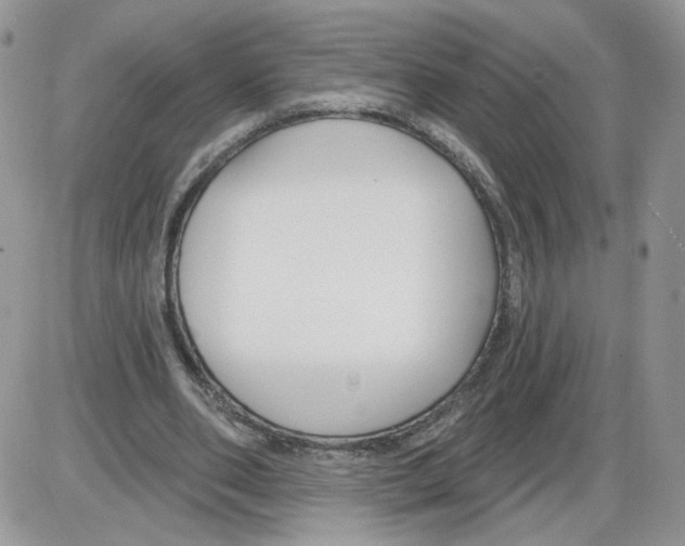 X0000086070486200704202130