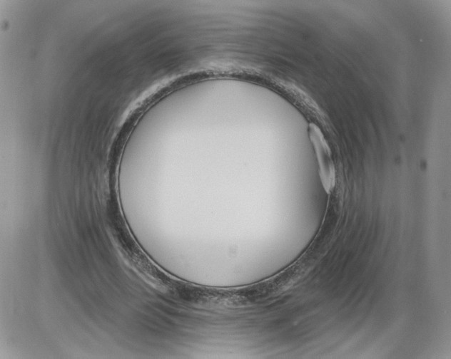 X0000086070488200704202130