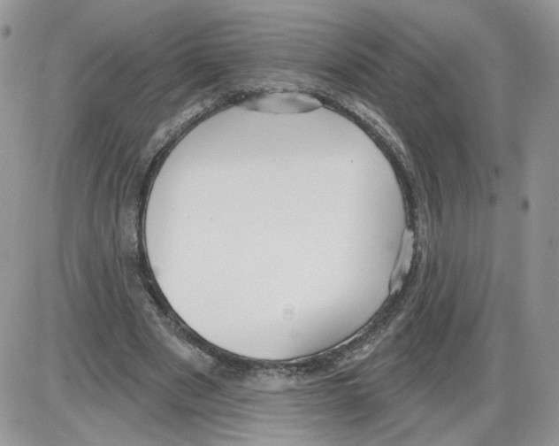 X0000086070489200704202130