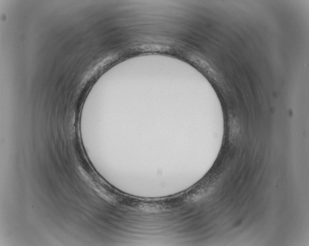 X0000086070490200704202130