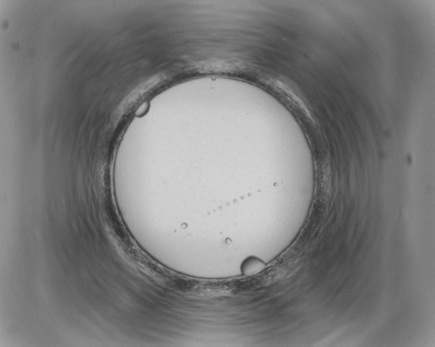 X0000086070491200704202130