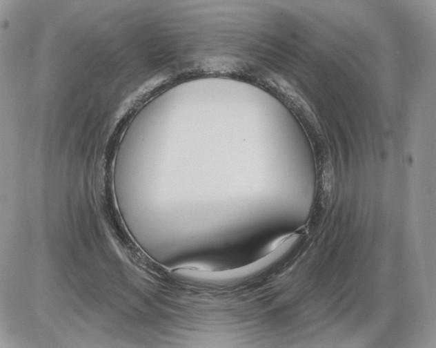 X0000086070492200704202130