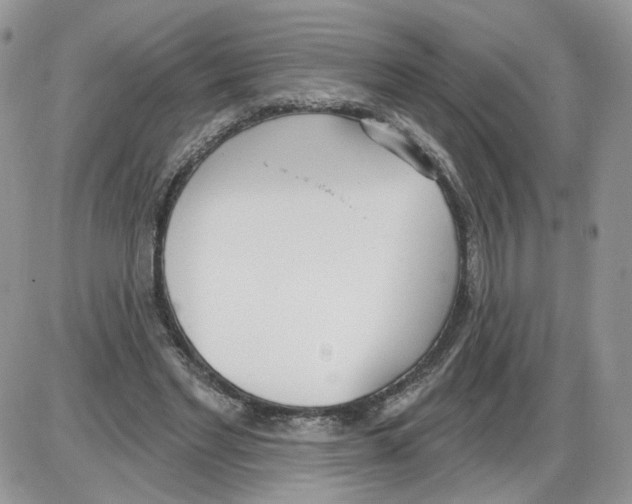 X0000086070493200704202130