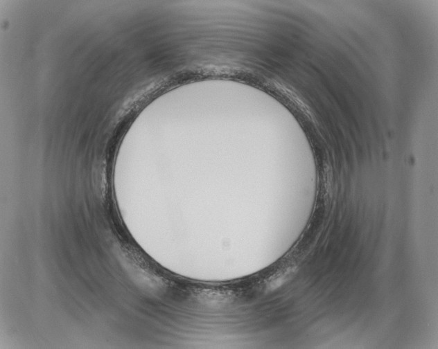 X0000086070494200704202130