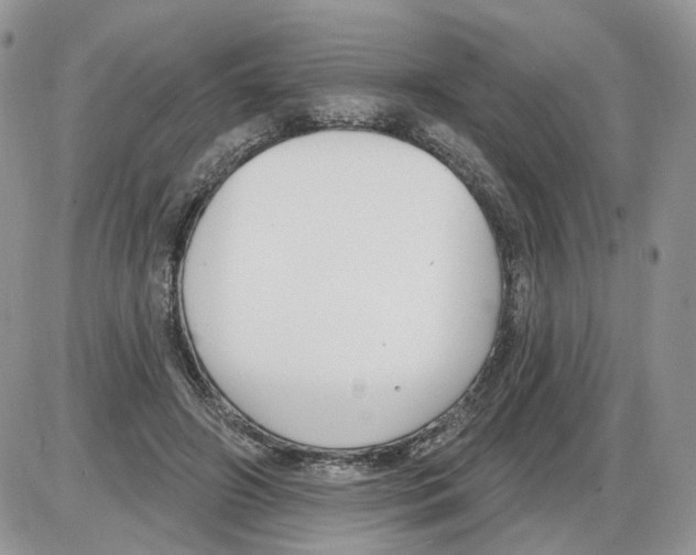 X0000086070498200704202130