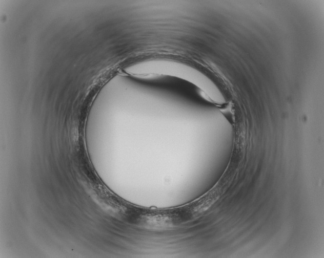 X0000086070500200704202130