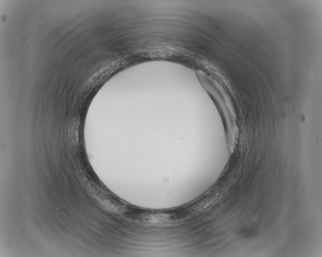 X0000086070501200704202130