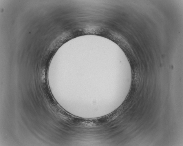 X0000086070502200704202130