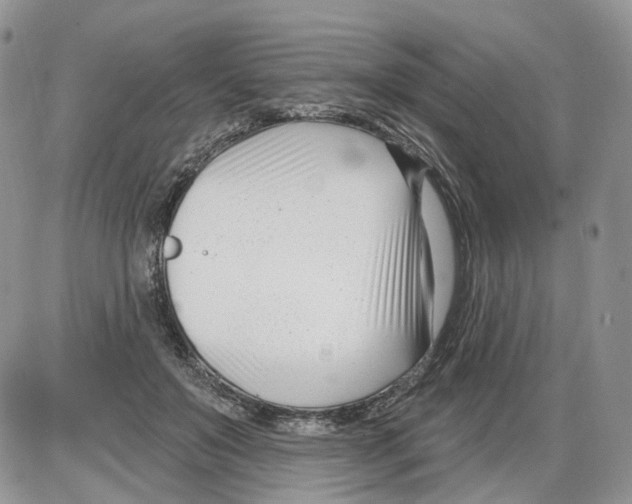 X0000086070503200704202130