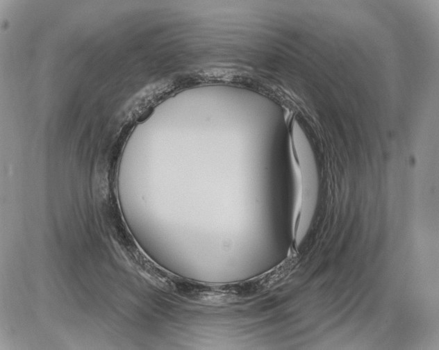 X0000086070504200704202130