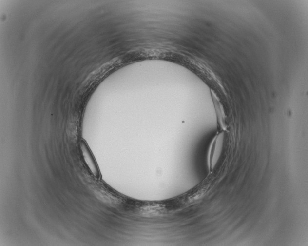 X0000086070505200704202130