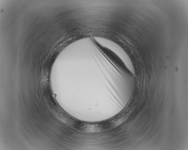 X0000086070507200704202130