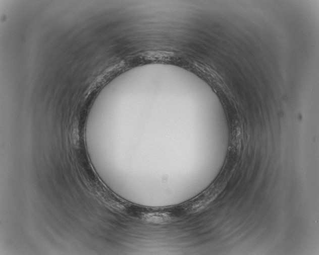 X0000086070508200704202130