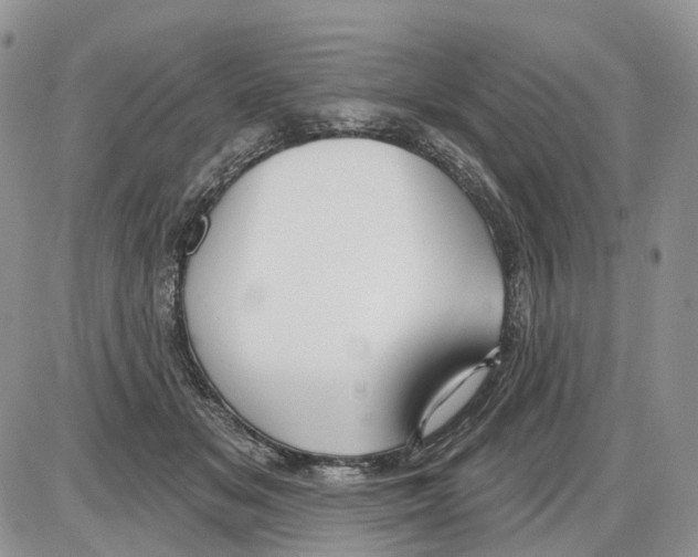 X0000086070509200704202129