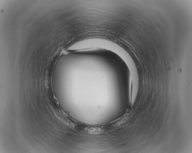 X0000086070512200704202129