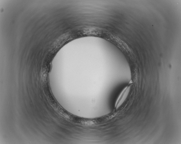 X0000086070513200704202129