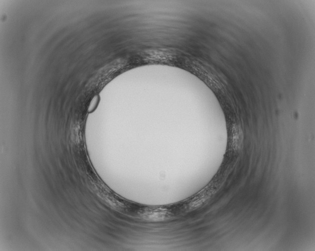 X0000086070514200704202129