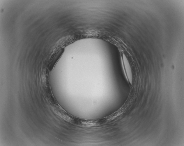 X0000086070516200704202129