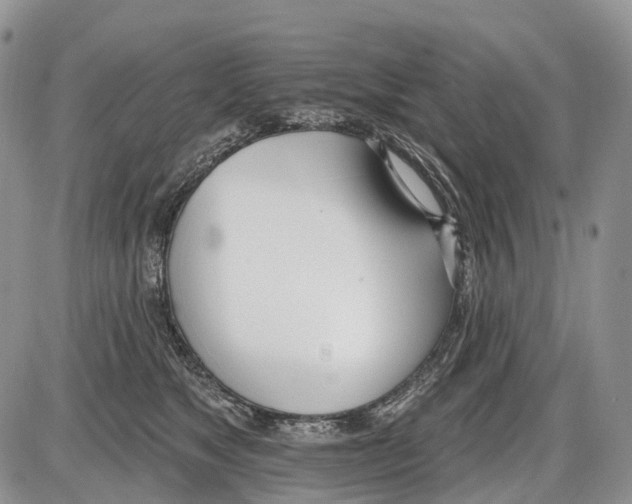 X0000086070517200704202129